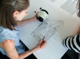 Mentorship and Sponsorship
